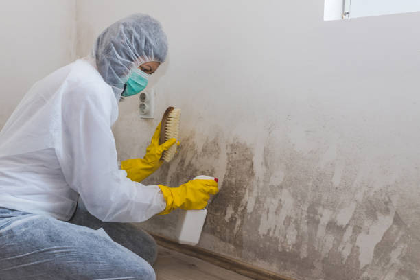Best Commercial Mold Inspection  in Lden, MA