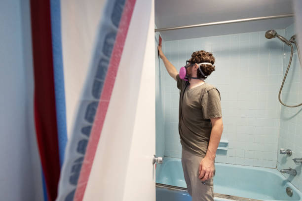 Best Emergency Mold Remediation  in Lden, MA