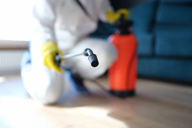 Best Airborne Mold Testing  in Lden, MA