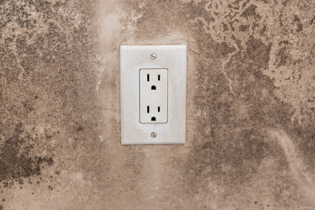 Best Asbestos and Lead Testing During Mold Inspection  in Lden, MA